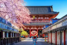 Welcome to Japan: Culture, Experiences, and “OMOTENASHI”
